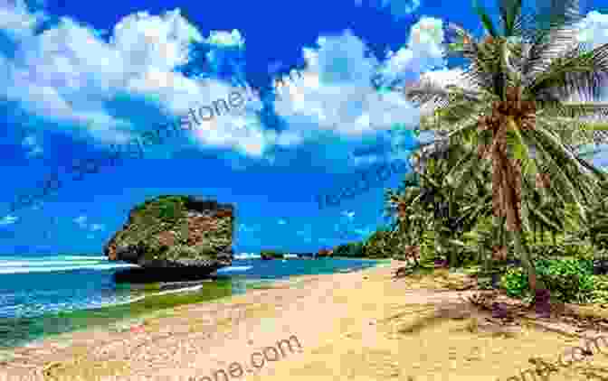 A Beautiful Beach In Barbados The Best Of Barbados (Tell It Like It Is Travel 1)