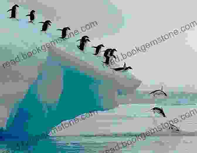 A Group Of Adelie Penguins Waddling On The Ice In Antarctica. Antarctica Diaries: A Trip To Beyond