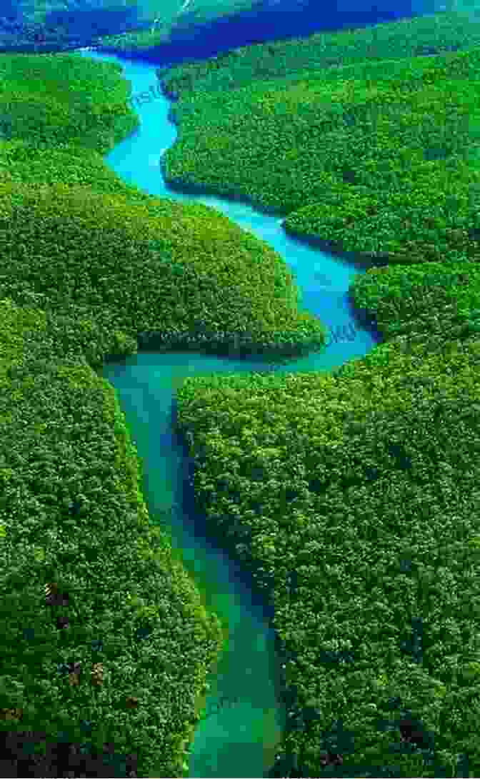 A Lush Canopy Of Trees In The Amazon Rainforest, With A River Winding Through The Foreground. Patagonia Papers: Journeys Where The Sun Dances (Watson Travel 2)