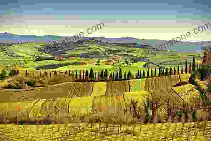 A Panoramic View Of Basilicata's Rolling Hills, Vineyards, And Fields Basilicata: Authentic Italy Karen Haid