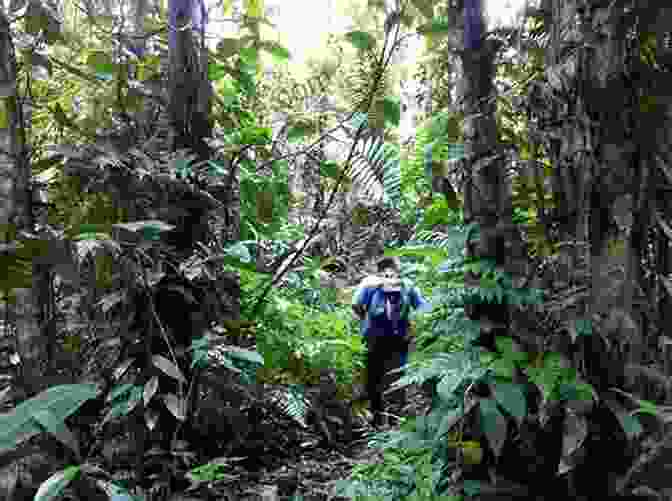A Photo Of Me Hiking Through The Rainforest In Costa Rica My Adventures Around The World: Costa Rica: Summer 2009