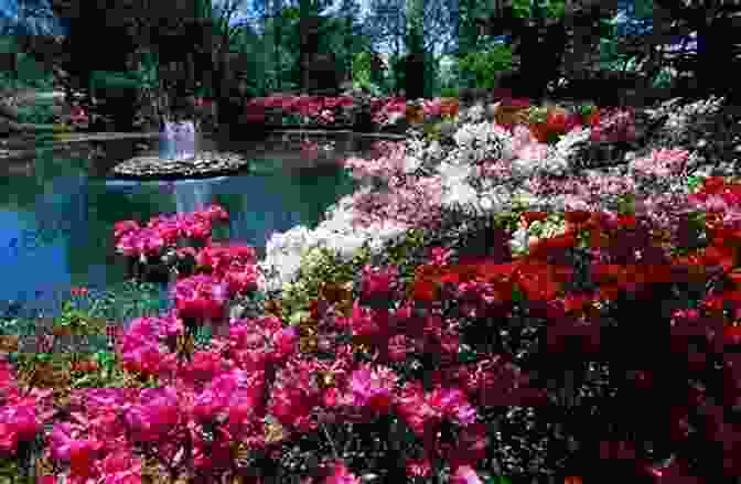A Picturesque Landscape Of The Magnolia Gardens, Featuring Vibrant Azalea Blooms, Lush Greenery, And A Serene Pond In The Background. Charleston S Daughter (The Low Country 1)