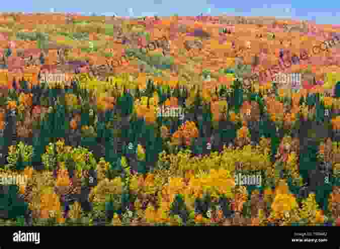A Scenic View Of New Brunswick, Canada, Featuring Rolling Hills, Forests, And A River New Brunswick Canada James Just