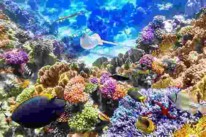 A Vibrant Coral Reef Teeming With Colorful Marine Life In The Great Barrier Reef. Patagonia Papers: Journeys Where The Sun Dances (Watson Travel 2)
