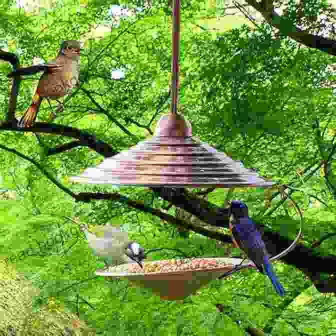 A Whimsical Bird Feeder Tree With Colorful Leaves And Perches Vibrant Watercolor Birds: 24 Effortless Projects Of Showstopping Avian Species
