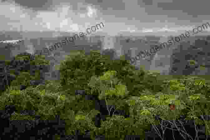 Aerial View Of Lush Amazon Rainforest, Ecuador Stories From Ecuador: A Collection By Tyrel Nelson