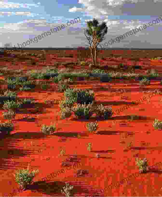 An Image Of The Australian Outback, Featuring Endless Red Sand Dunes, Spinifex Grasslands, And Rugged Mountain Ranges. Due North: An Expedition Through Australia From Tasmania To The Gulf