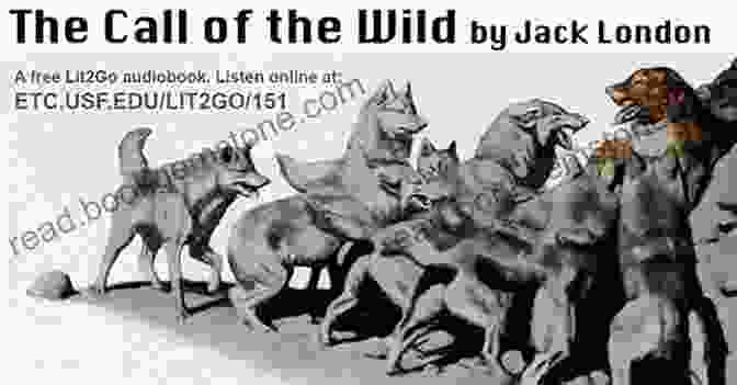 Buck, The Wolf From Jack London's If I Were An Animal
