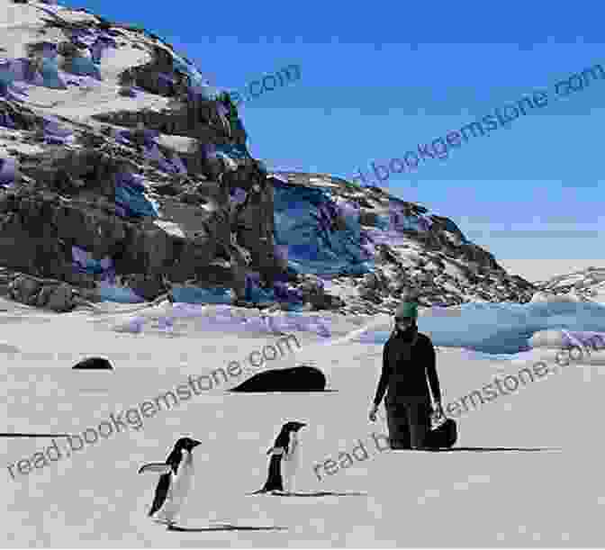 Ethan Kneeling On The Ice Next To A Group Of Penguins, Who Are Looking At Him With Curiosity The Stowaway: A Young Man S Extraordinary Adventure To Antarctica