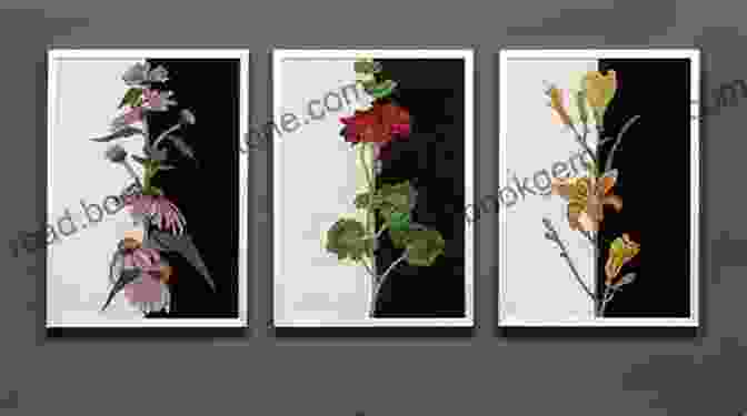 Floral Triptych No. 1 By William Powell Drawing: Flowers With William F Powell: Learn To Paint Step By Step (How To Draw Paint 255)