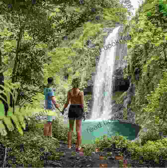 Hiking Through The Lush Rainforests Of Tahiti The Paradise Room: LoveTravel Tahiti