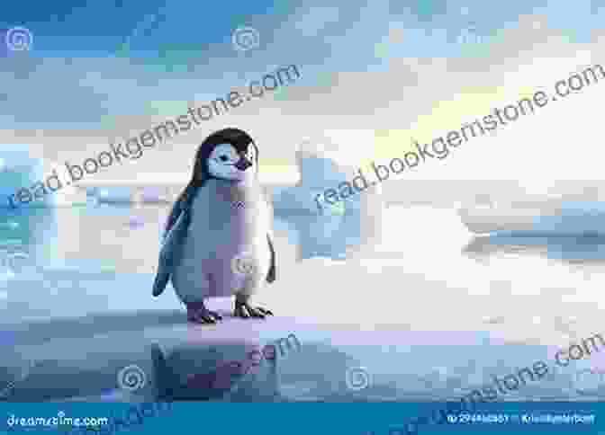 Perla The Pink Penguin Standing On An Ice Floe Perla S Guide To Life In Antarctica (Perla The Pink Penguin Series)