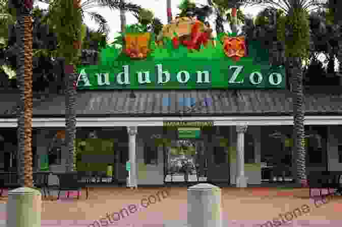 The Audubon Zoo In New Orleans Frommer S EasyGuide To New Orleans 2024
